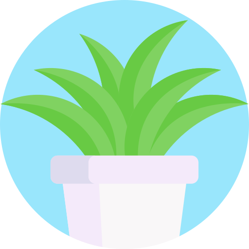 Succulent Detailed Flat Circular Flat icon