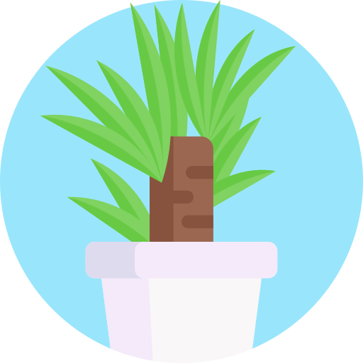 yucca Detailed Flat Circular Flat ikona