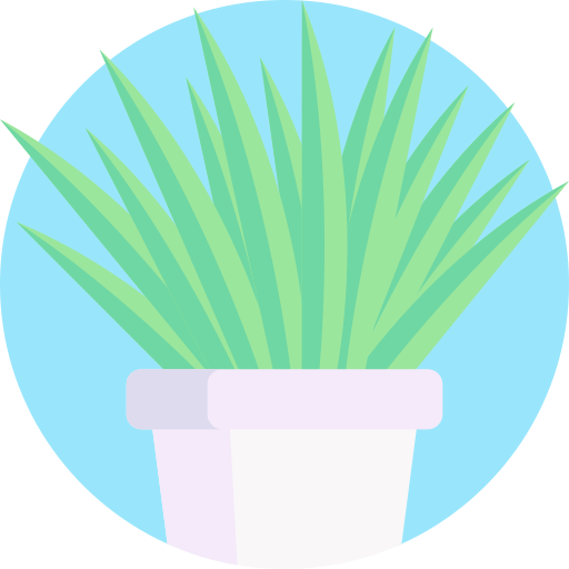 Spider plant Detailed Flat Circular Flat icon