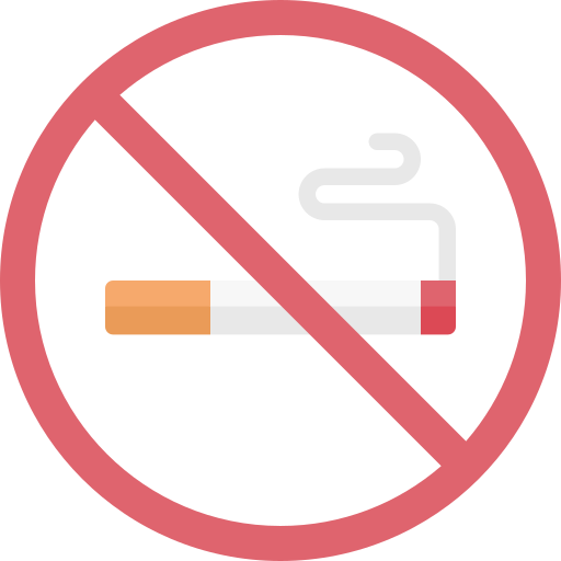 Не курить Special Flat иконка