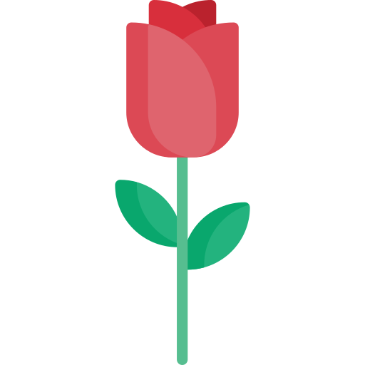 rose Special Flat icon