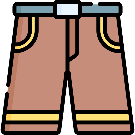 bermudas Special Lineal color icono