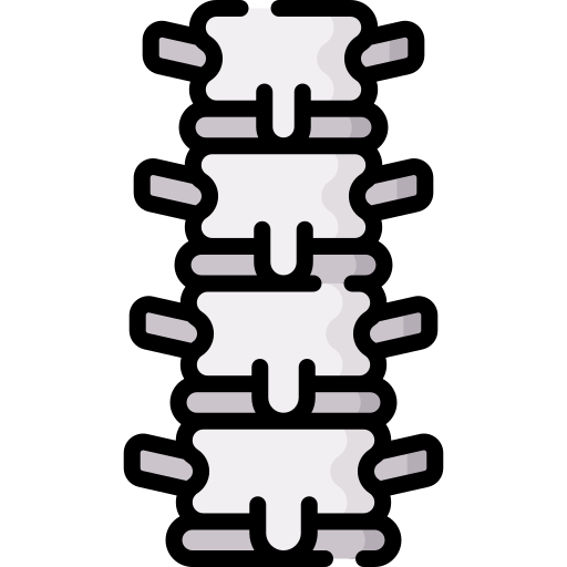 Spine Special Lineal color icon