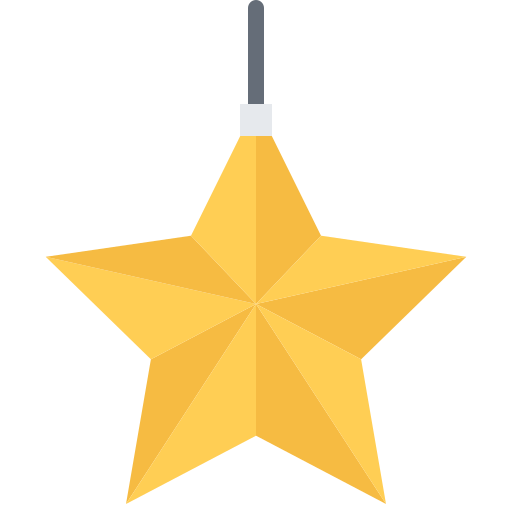 estrella de navidad Coloring Flat icono