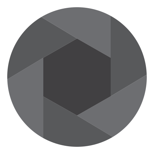 Diaphragm srip Flat icon