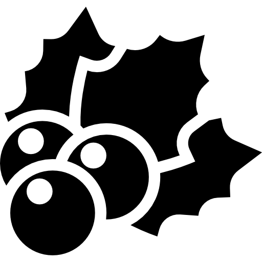 Christmas mistletoe  icon