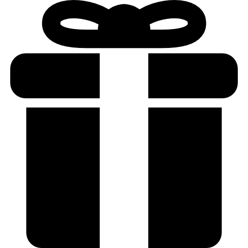 Christmas gift  icon