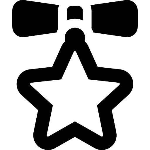 ornamento della stella di natale  icona