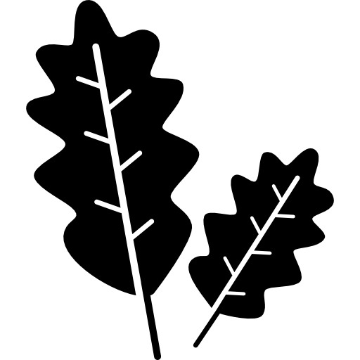 2 本の小枝  icon