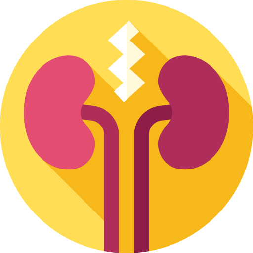 Kidneys Flat Circular Flat icon