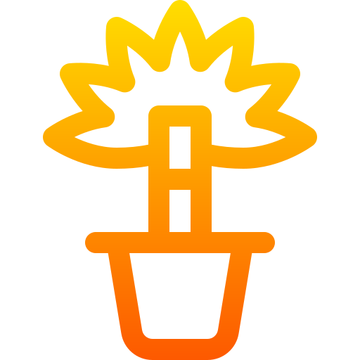 yucca Basic Gradient Lineal color ikona
