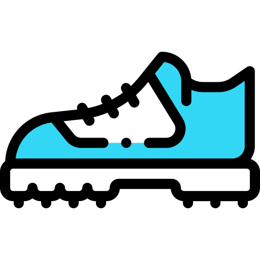 Shoe Detailed Rounded Lineal color icon
