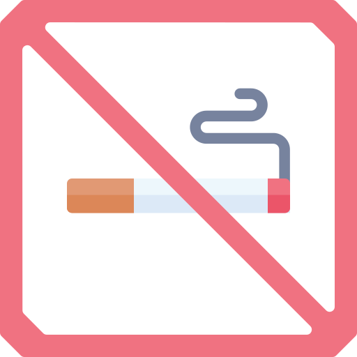 vietato fumare Special Flat icona