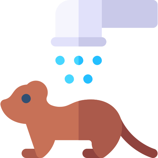 Ferret Basic Rounded Flat icon