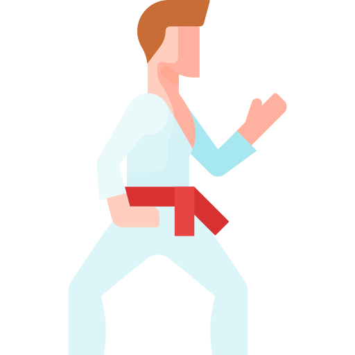 Karate Special Flat icon