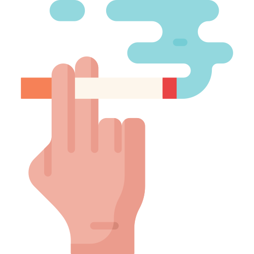 rauchen Special Flat icon