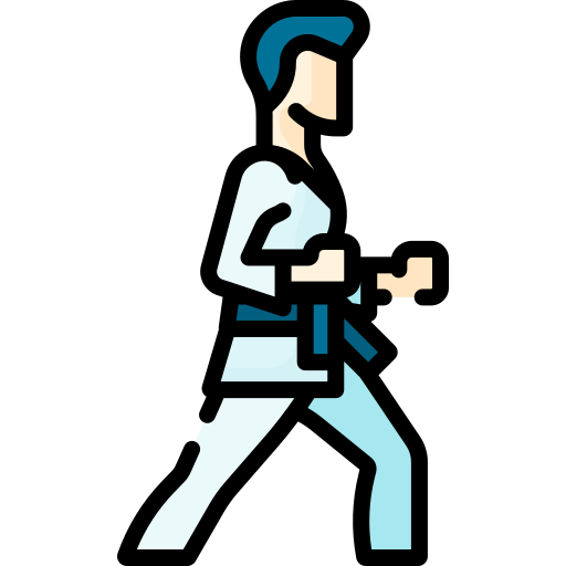 taekwondo Special Lineal color ikona