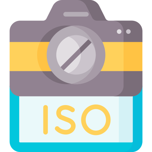 iso Special Flat icon