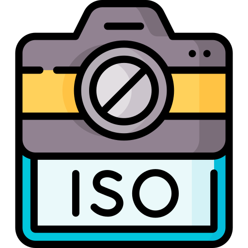 Iso Special Lineal color icon