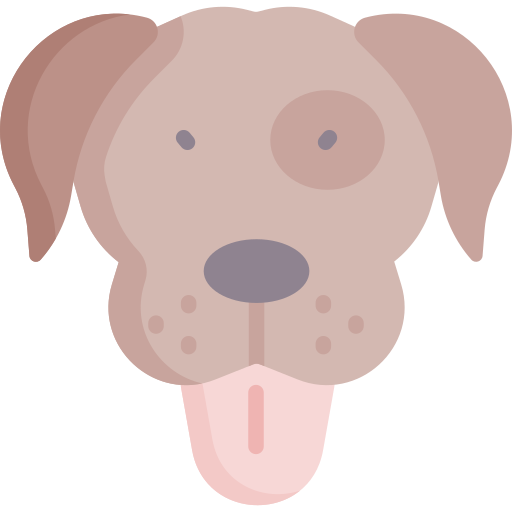 perro Special Flat icono