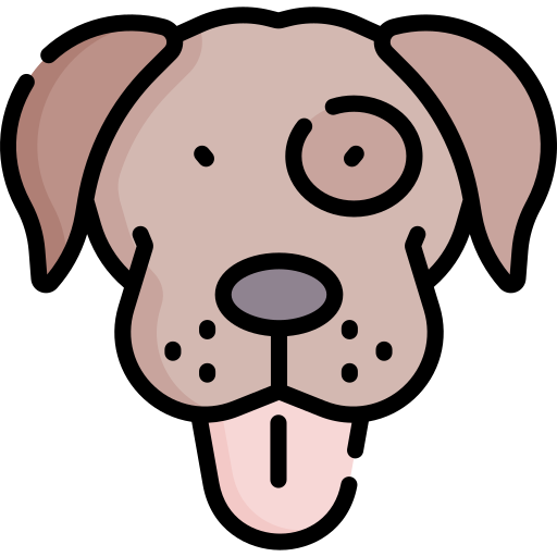 犬 Special Lineal color icon