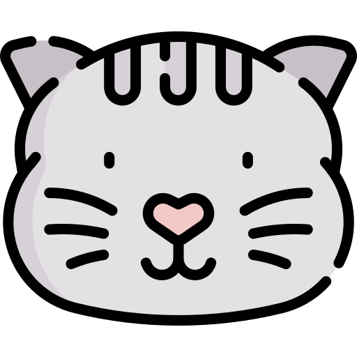 Cat Special Lineal color icon