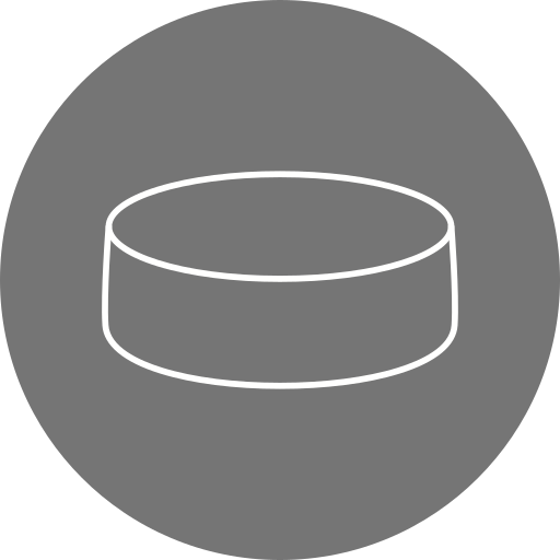 hockey puck Generic Circular icoon