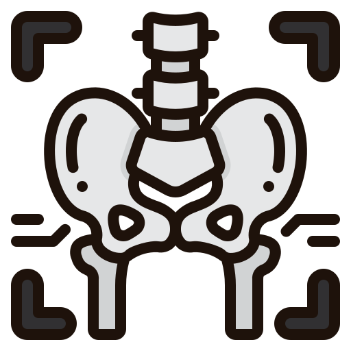 X rays Generic Outline Color icon