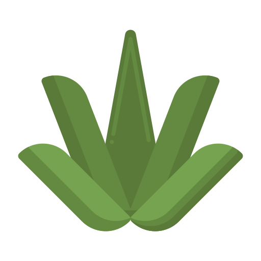 Aloe vera Flaticons Flat icon