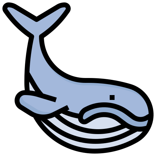 Whale Surang Lineal Color icon