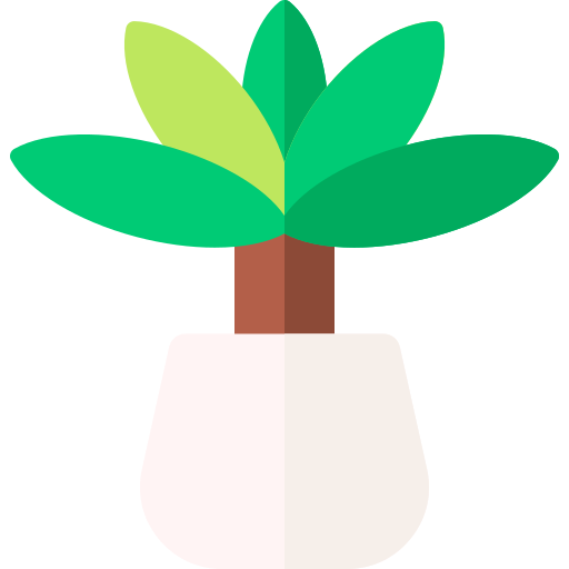 yucca Basic Rounded Flat icona