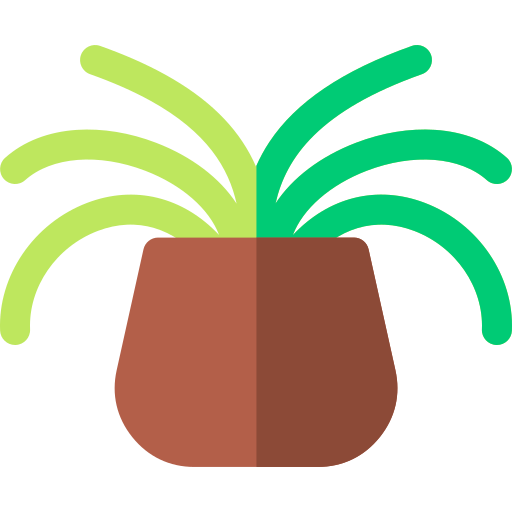 planta araña Basic Rounded Flat icono