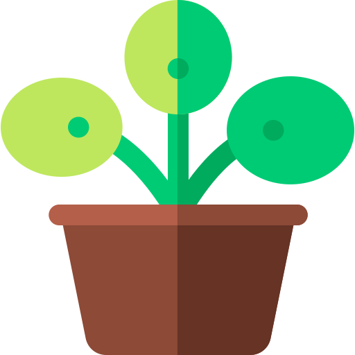 Pilea peperomioides Basic Rounded Flat icon