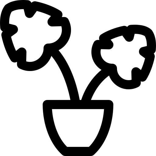 monstera Basic Rounded Lineal Icône