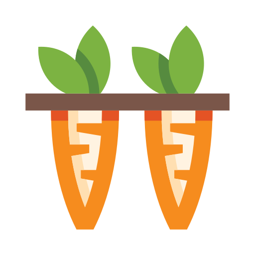 Carrots edt.im Lineal color icon