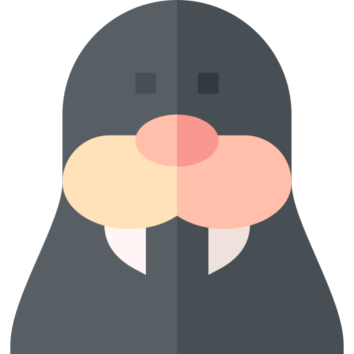 walross Basic Straight Flat icon
