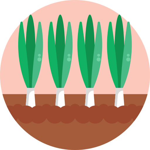 Spring onion Generic Circular icon