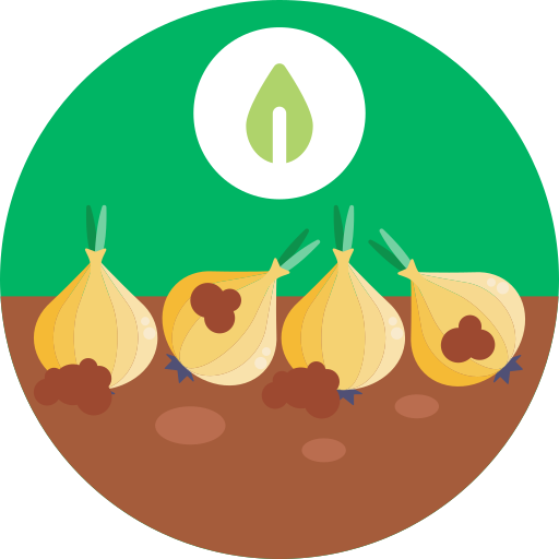 Onions Generic Circular icon