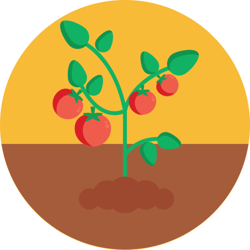 Tomatoes Generic Circular icon