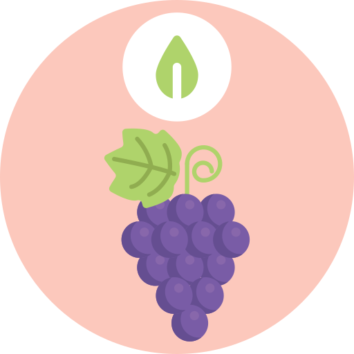 Grapes Generic Circular icon