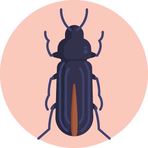 甲虫 Generic Circular icon