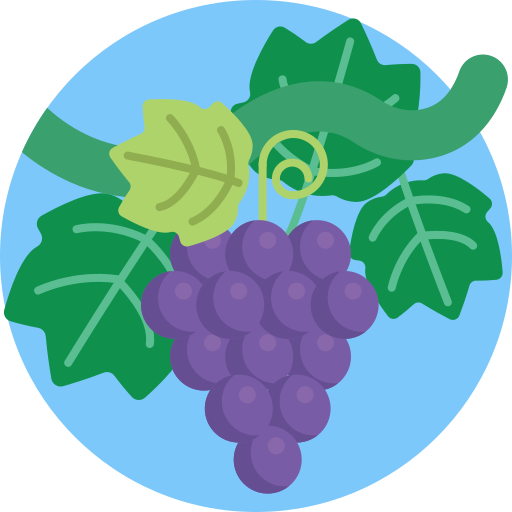 Grapes Generic Circular icon