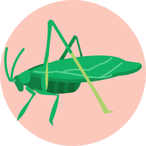 Insect Generic Circular icon