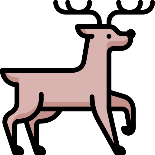 Reindeer bqlqn Lineal Color icon