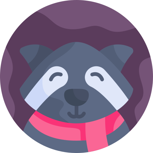 Raccoon bqlqn Flat icon