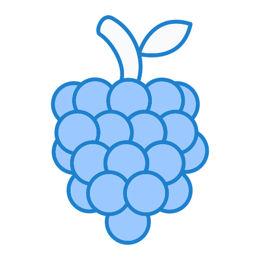 Raspberry Generic Blue icon