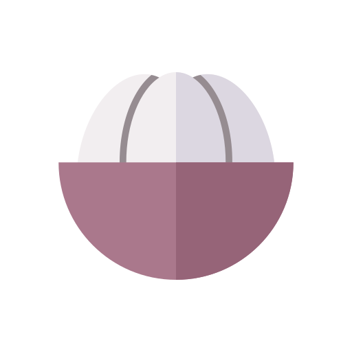 mangosteen Generic Flat icoon