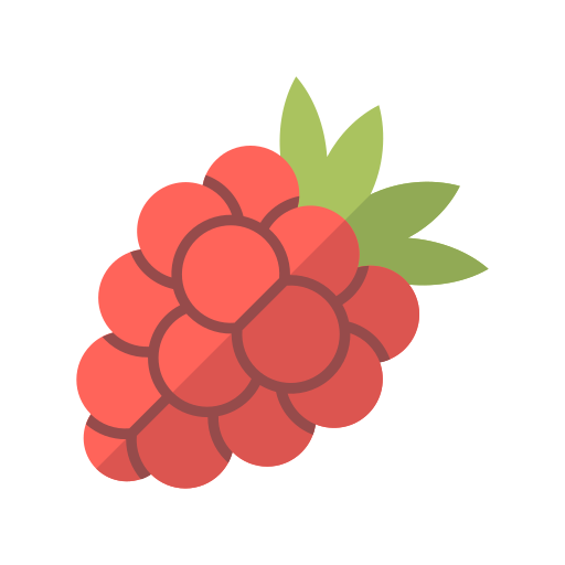 Raspberry Generic Flat icon