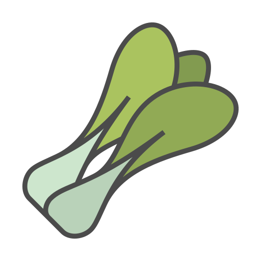 Bok choy Generic Outline Color icon