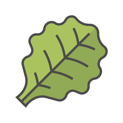 Lettuce Generic Outline Color icon